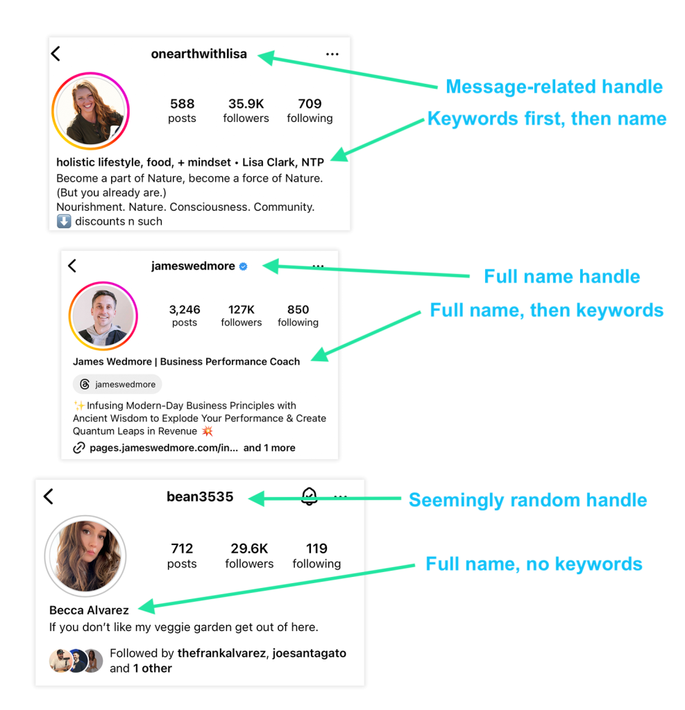 example of instagram influencer bios, highlighting the handle and visible name