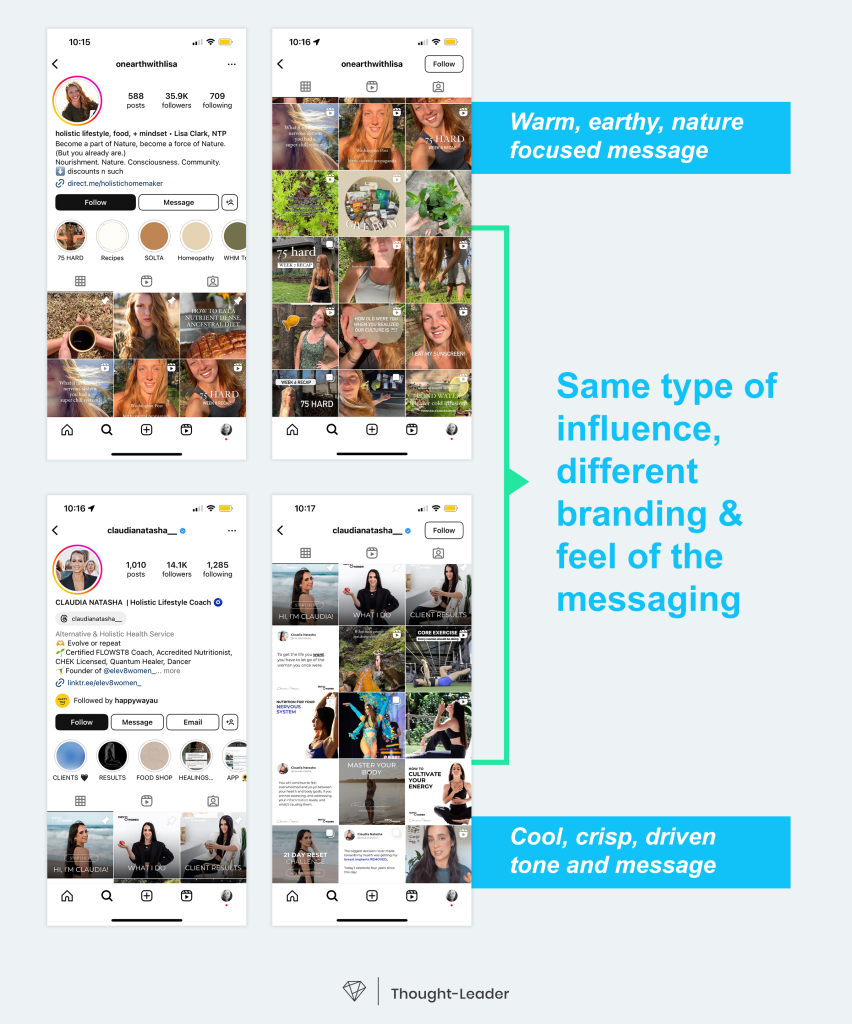 example of how to become an instagram influencer of the same niche, but different branding