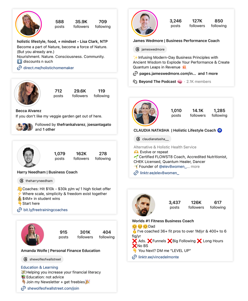 examples of instagram influencers messages in their bios